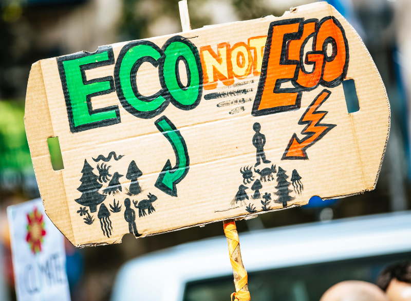 Un huerto que también enseña: visitas y talleres en Trébede Social